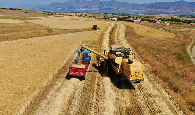 Elazığ'da 900 bin dekar alanda hasat yapılması bekleniyor