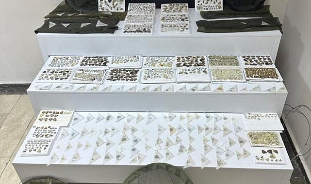 Elazığ'da endemik olduğu değerlendirilen bin 472 adet kelebek ele geçirildi
