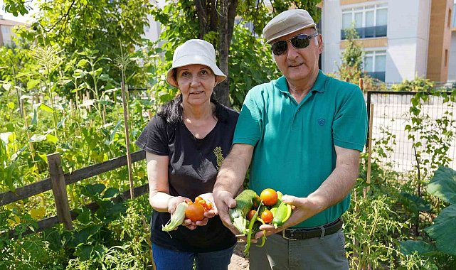 Emekli çifti Gönüllü Bahçesinde 26 çeşit ürün elde etti