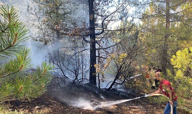 Emet'teki orman yangını büyümeden söndürüldü