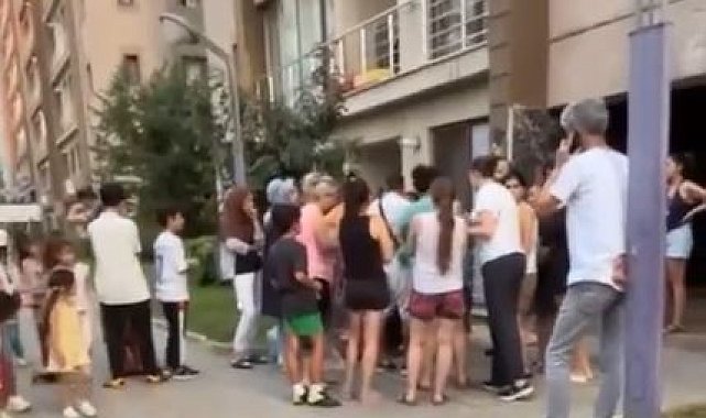 Esenyurt'ta kedi maması tartışmadı kamerada