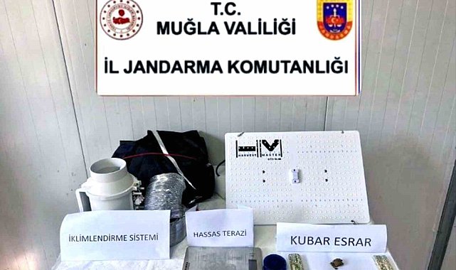 Evde kenevir yetiştiricisine operasyon