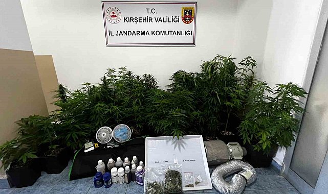 Evinde özel düzenekle kenevir yetiştiren kişi yakalandı