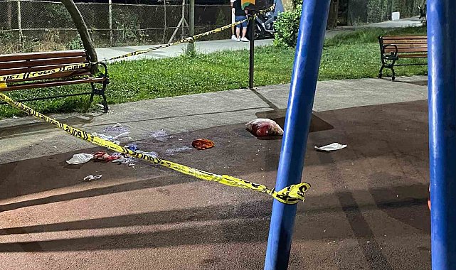 Eyüpsultan'da silahlı saldırı: Parkın ortasında 2 kişiyi silahla vurarak yaraladı