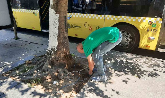 Fatih'te kaldırım üzerinde açık halde bulunan elektrik kabloları vatandaşı tedirgin etti