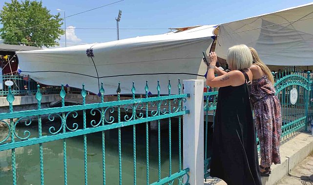 Fethiye'de Caretta Carettalar ilgi odağı haline geldi