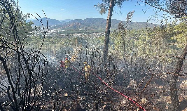 Fethiye'de zeytinlik alanda çıkan yangın kontrol altına alındı