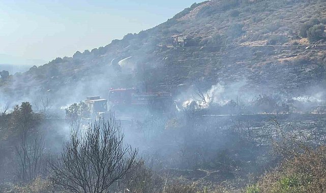 Foça'daki orman yangını alev alan araçtan çıkmış