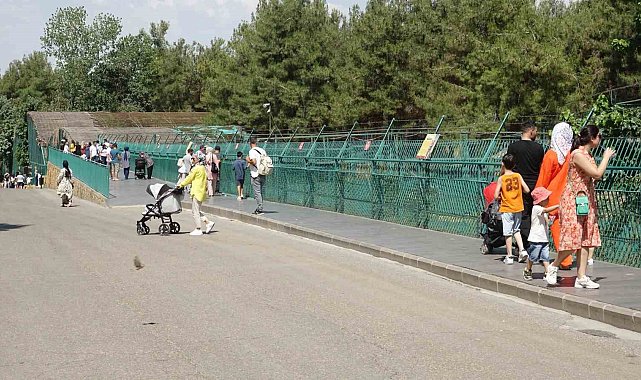 Gaziantep Doğal Yaşam Parkı'na ziyaretçi akını