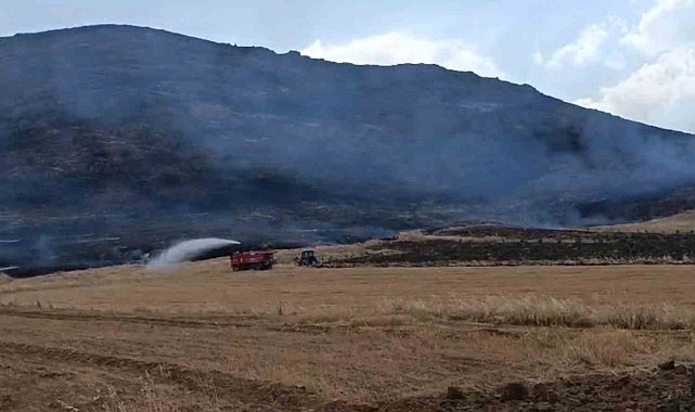 Gaziantep'te anız yangını ormanlık alana zarar verdi