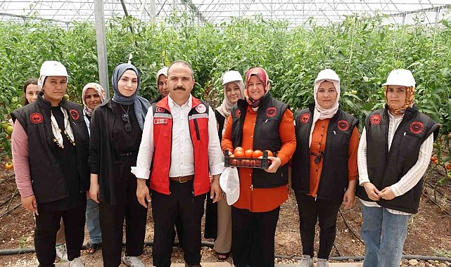 Gaziantep'te seralara kadın eli değdi