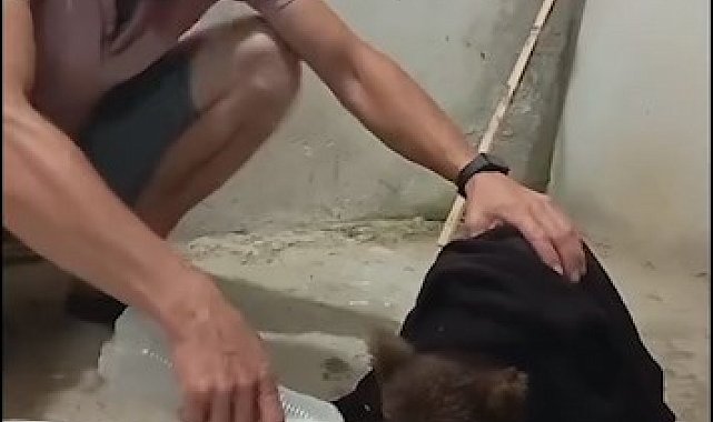 Gece yarısı kapısına gelen yavru ayıyı aç göndermedi