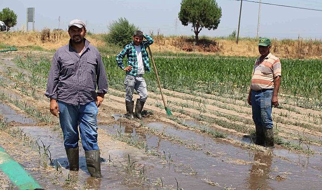 Gençlerin masa başı iş sevdası Türk tarımına alarm verdiriyor