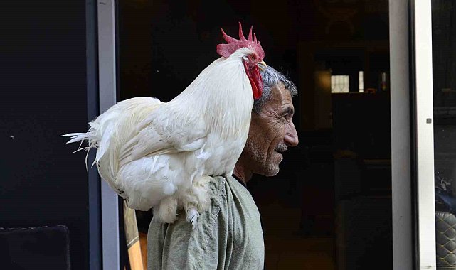 Gören dönüp bir daha bakıyor