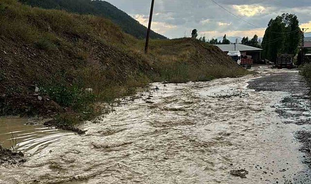 Gümüşhane'de sağanak yağış sele neden oldu