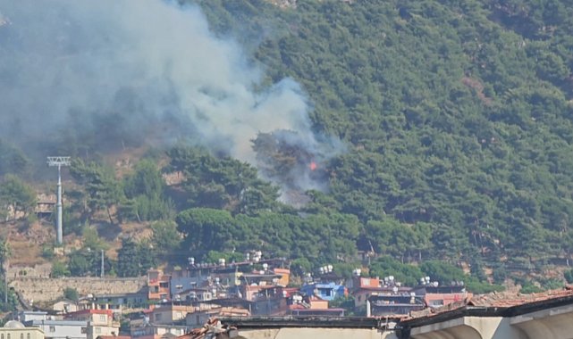 Habibi Neccar Dağı'nda çıkan orman yangını söndürüldü