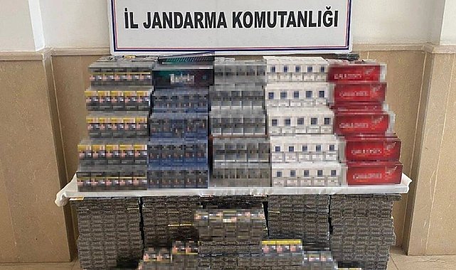 Hasankeyf'te 5 bin 593 paket kaçak sigara ele geçirildi