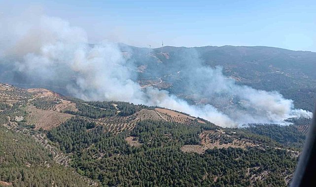 Hatay'da orman yangını