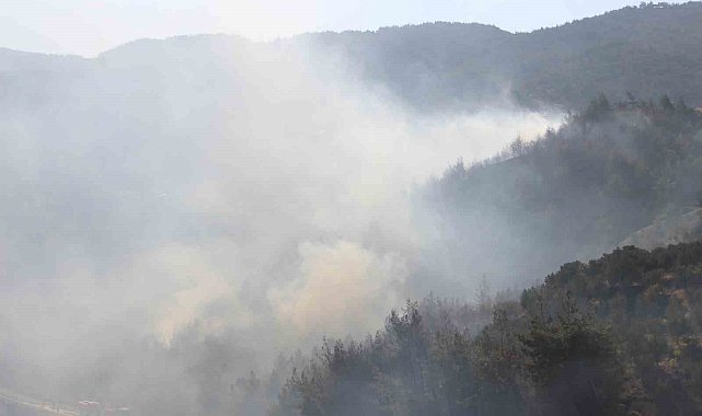 Hatay'daki orman yangını kontrol altına alındı