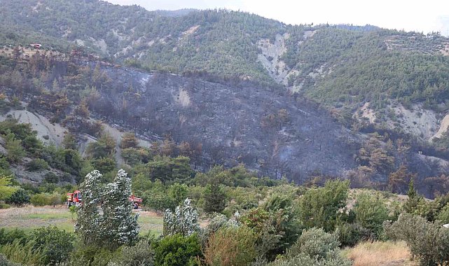Havadan ve karadan müdahaleyle kontrol altına alınan yangında yaşananları muhtar anlattı