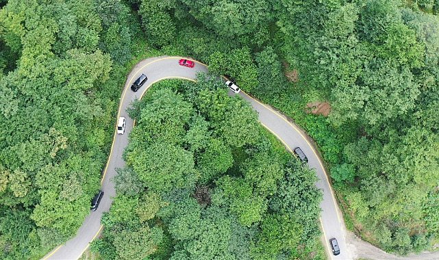 Hıdırnebi Yayla yolunda sise sarı çizgili önlem