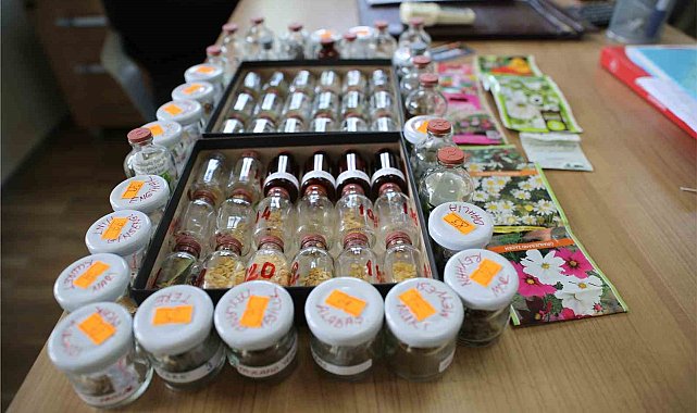 İlkadım'da 'ata tohumu' seferberliği