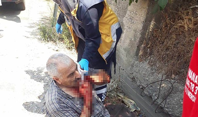 İncir toplarken düşüp yaralandı