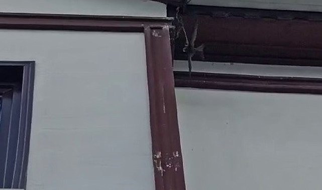 İpe dolanıp asılı kalan kırlangıcı itfaiye kurtardı