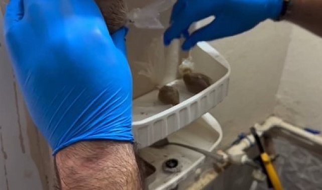 İskenderun'da evin her köşesine uyuşturucu zulalayan şahıslar polisten kaçamadı