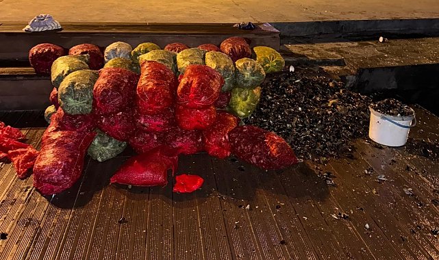 İstanbul'da 1 ton kaçak midye ele geçirildi