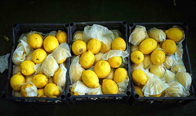 İstanbul'da limonun tanesi 10 TL'ye dayandı, Ağustos'tan itibaren gerileme bekleniyor
