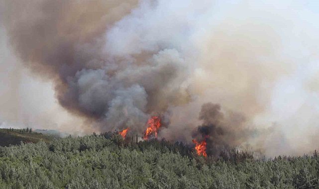 İzmir'deki yangından dolayı bazı uçuşlar iptal edildi
