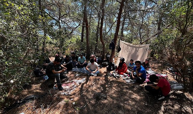 Jandarma 55 düzensiz göçmen ve 1 organizatörü yakaladı