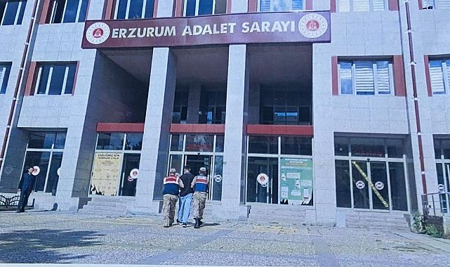 Jandarma aranan şahsı operasyonla yakaladı