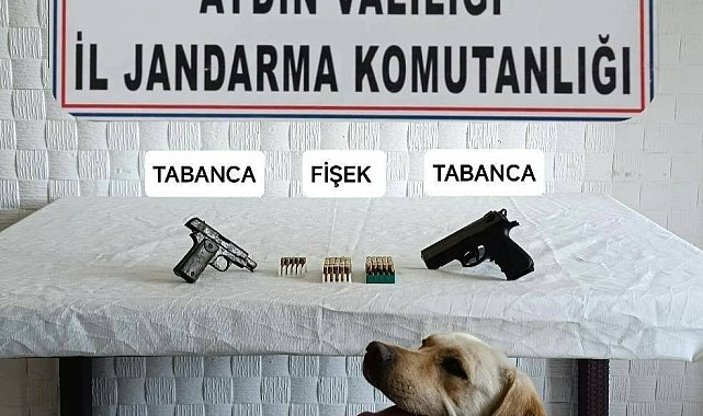 Jandarma ekipleri ruhsatsız tabanca ele geçirdi