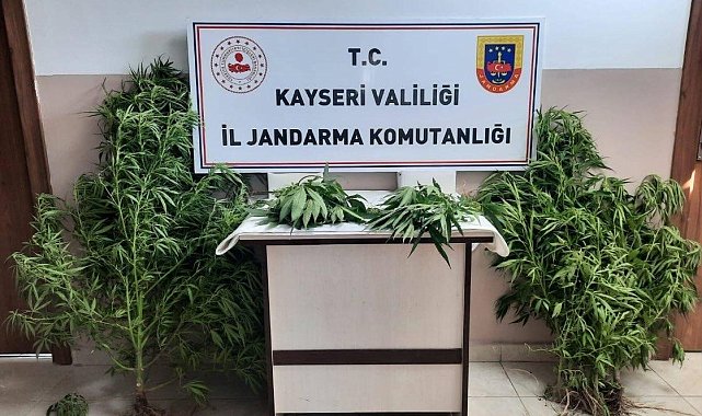 Jandarma Kayseri'de uyuşturucuya geçit vermiyor