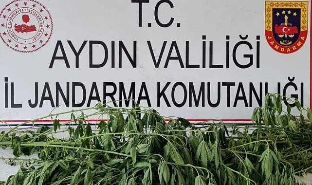 Jandarma uyuşturucuya geçit vermiyor: 5 gözaltı
