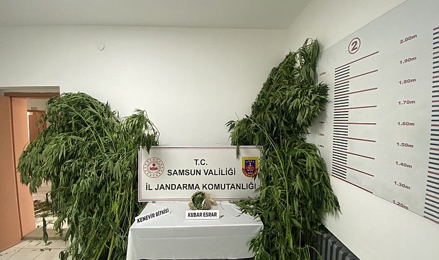 Jandarmadan 2 ayrı uyuşturucu operasyonu