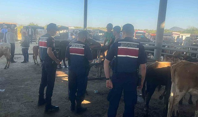 Jandarmadan Çine'de hırsızlık ve dolandırıcılığa karşı sıkı denetim