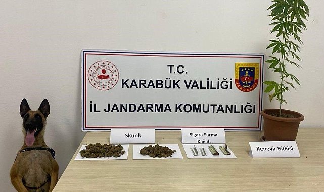 Jandarmadan uyuşturucu operasyonu