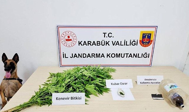Jandarmadan uyuşturucu operasyonu