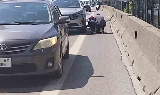 Kadıköy D-100 karayolunda yavru kediyi kurtaran duyarlı vatandaş kamerada