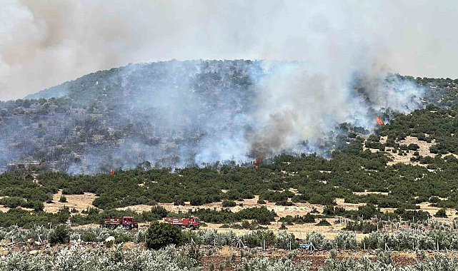 Kahramanmaraş'ta makilik alanda çıkan yangın kontrol altına alındı