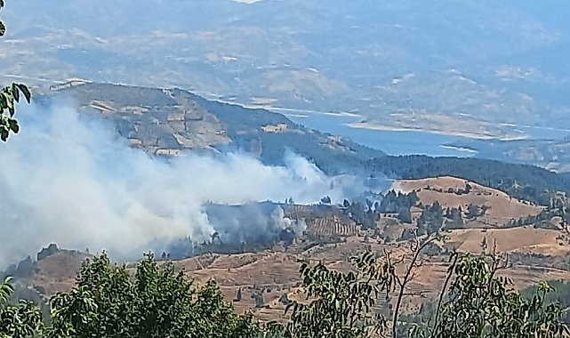 Kahramanmaraş'ta orman yangını
