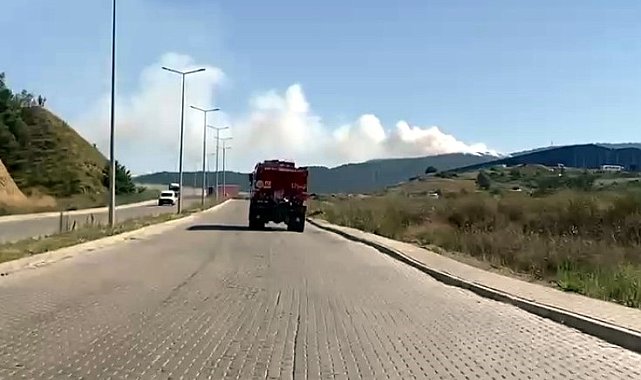 Karabük'te orman yangını