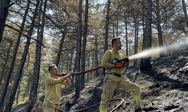 Karabük'te orman yangınında 7 hektar alan zarar gördü