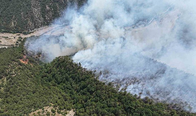 Karabük'te yıldırım orman yangınına neden oldu