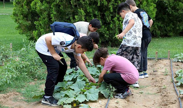 Karatay tabiat mektebi yaz dönemi eğitimleri sürüyor