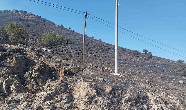 Karpuzlu'daki makilik yangın kontrol altına alındı