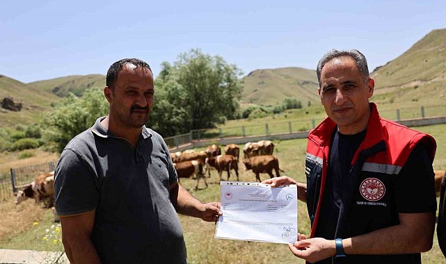 Kars hayvancılığında "Hastalıktan Ari İşletme" dönemi başlıyor